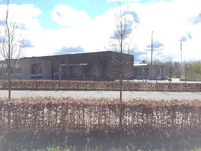 Anmeldelser af Gribskov Gymnasium i Frederiksværk - Skole