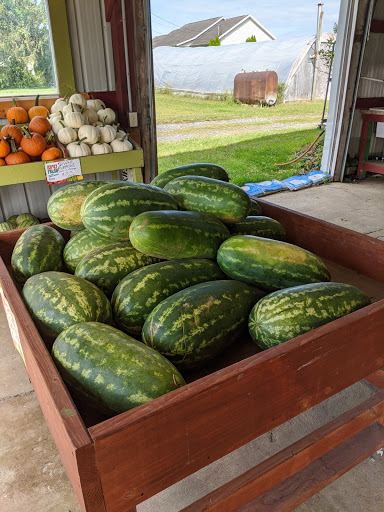 Produce Market «Sorbello Girls Farm Markets», reviews and photos, 100 Moods Rd, Mullica Hill, NJ 08062, USA