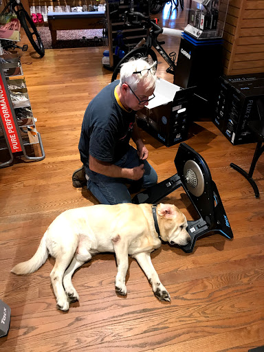 Bicycle Store «Brielle Cyclery», reviews and photos, 205 Union Ave, Brielle, NJ 08730, USA