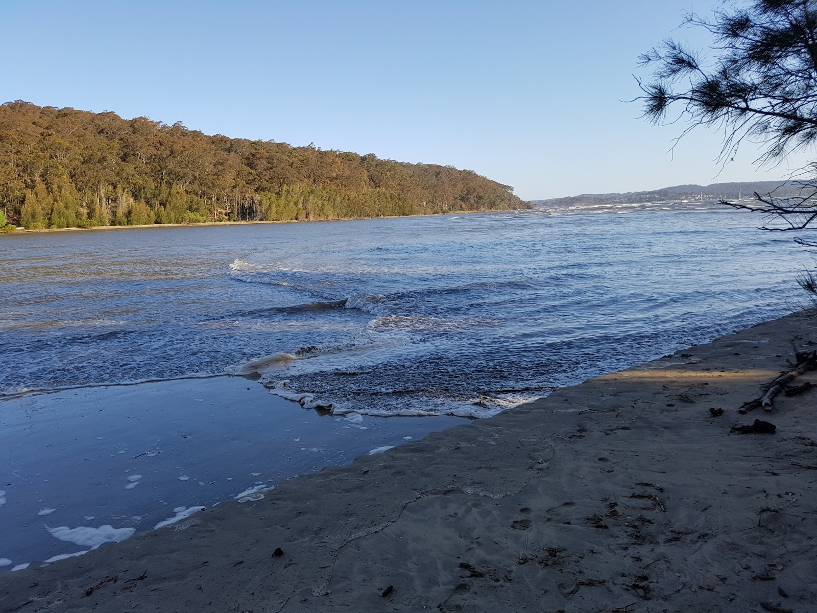 Cullendulla Beach'in fotoğrafı geniş bir kıyı şeridi ile birlikte