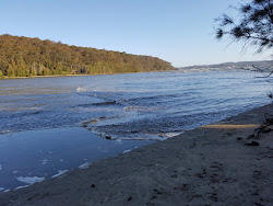 Cullendulla Beach'in fotoğrafı geniş bir kıyı şeridi ile birlikte