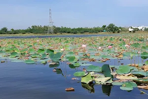 Chinnavalayam Lake image
