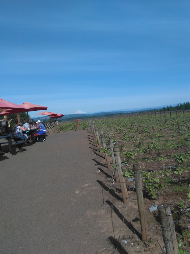 Winery «Ardiri Winery & Vineyards», reviews and photos, 35040 Southwest Unger Road, Cornelius, OR 97113, USA