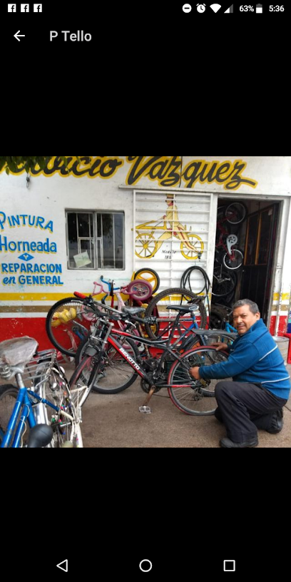 Taller de bicicletas Servicio Vazquez