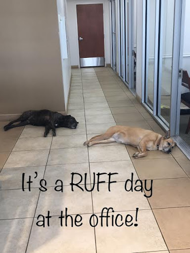 Car Dealer «Mark Sweeney Buick GMC», reviews and photos, 3365 Highland Ave, Cincinnati, OH 45213, USA