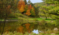 Deer Lakes Park