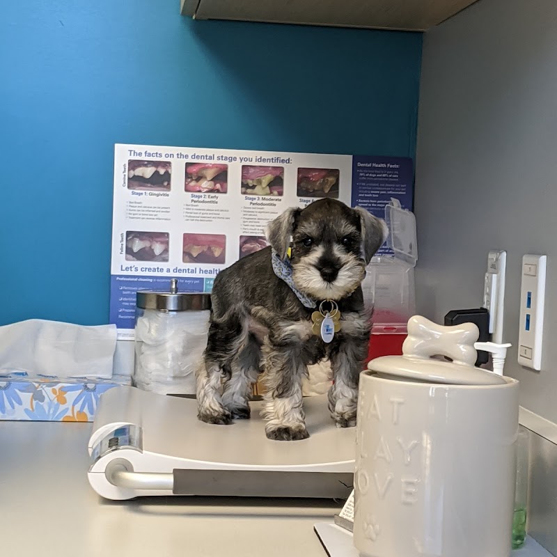 UNI Pet Clinic - San Jose