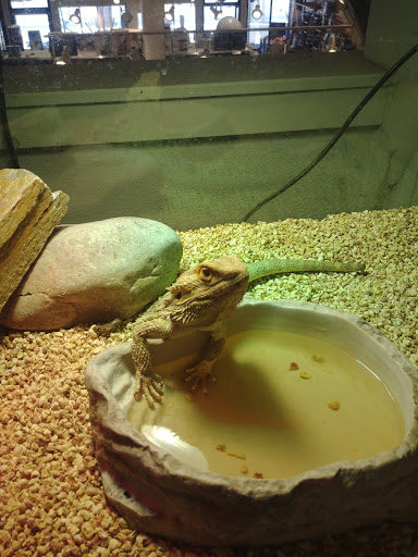 Pet Store «Critter Cabana», reviews and photos, 516 E 1st St, Newberg, OR 97132, USA