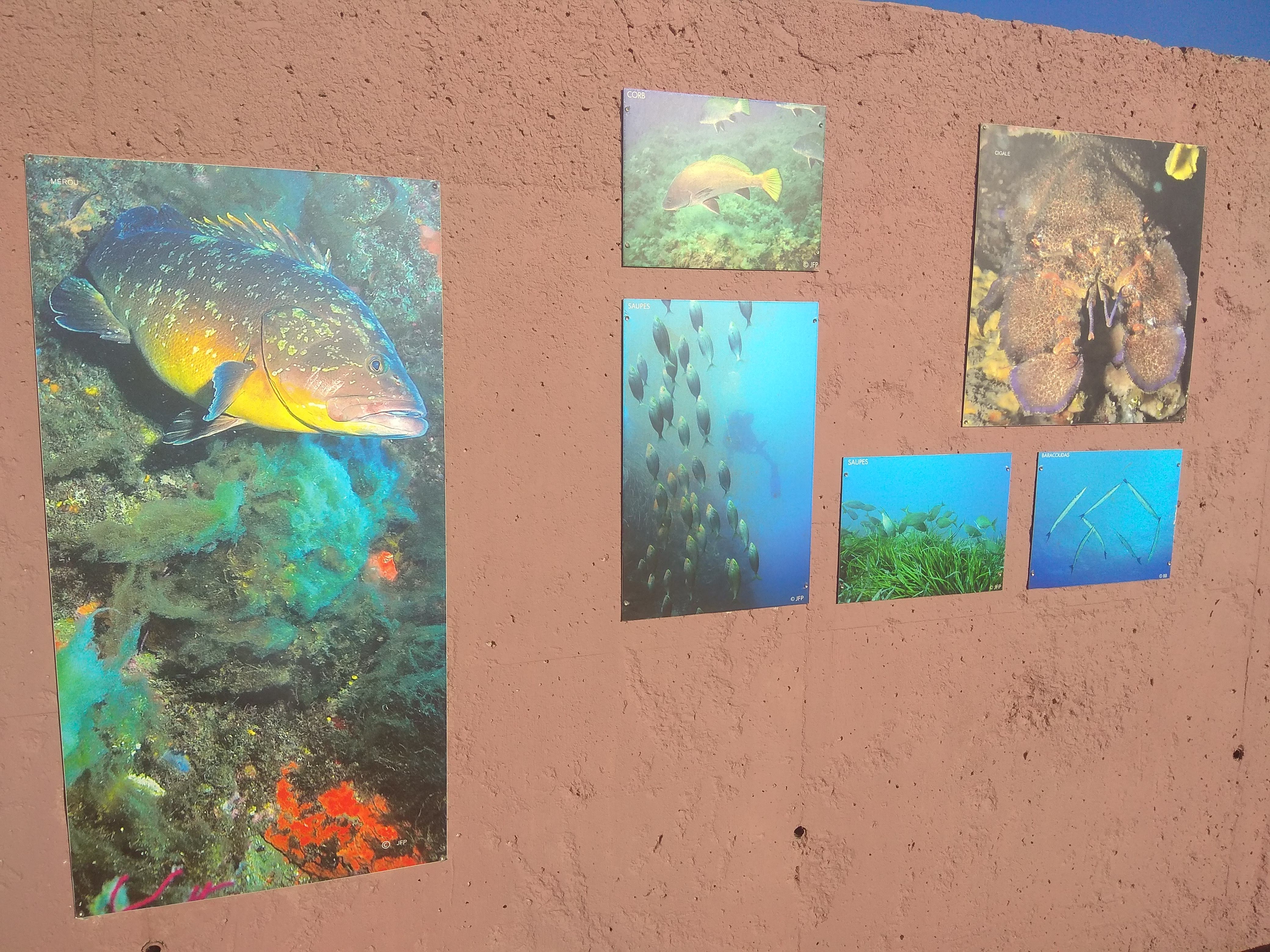 Photo n° 13 de l'avis de Emmanuel.h fait le 05/06/2019 à 10:44