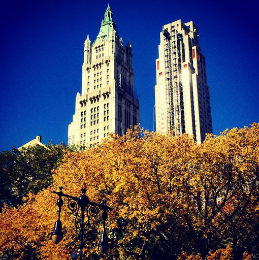 Historical Landmark «The Woolworth Building», reviews and photos, 233 Broadway, New York, NY 10007, USA