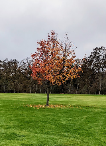 Golf Course «Antelope Greens Golf Course», reviews and photos, 2721 Elverta Rd, Antelope, CA 95843, USA