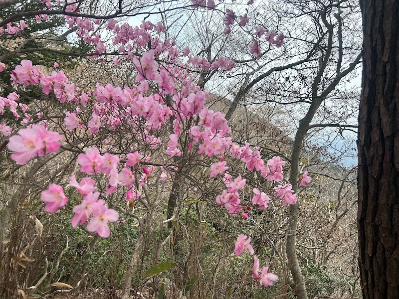 二ツ箭山塔