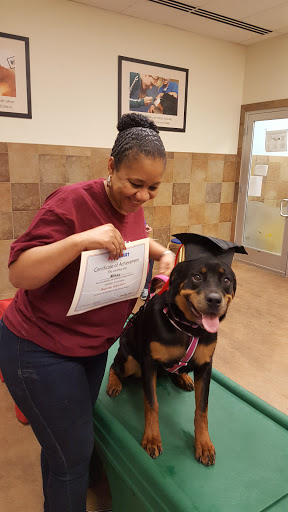 Pet Supply Store «PetSmart», reviews and photos, 19075 Interstate 45 S, Shenandoah, TX 77385, USA