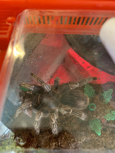 Pet Supply Store «College Greens Pet Center», reviews and photos, 3311 Julliard Dr # A, Sacramento, CA 95826, USA