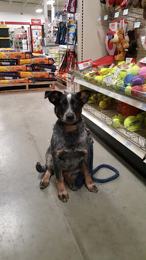 Home Improvement Store «Tractor Supply Co.», reviews and photos, 985 Octorara Trail, Parkesburg, PA 19365, USA