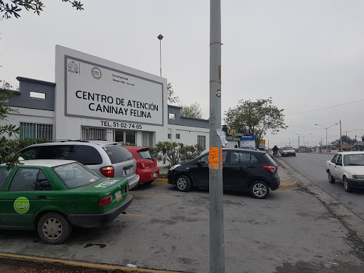 Centro de Atención Canina y Felina