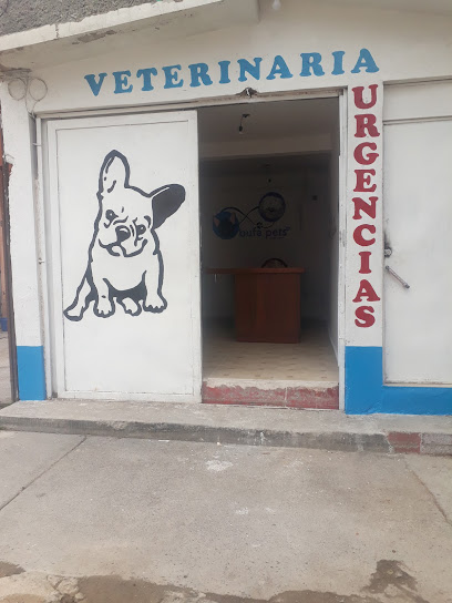 Bufa Pets veterinaria