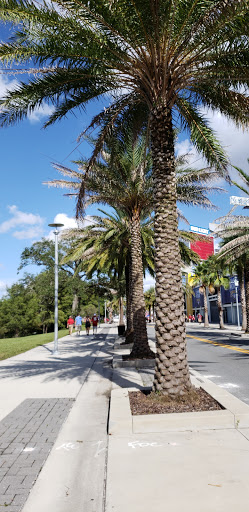 Stadium «Camping World Stadium», reviews and photos, 1 Citrus Bowl Pl, Orlando, FL 32805, USA