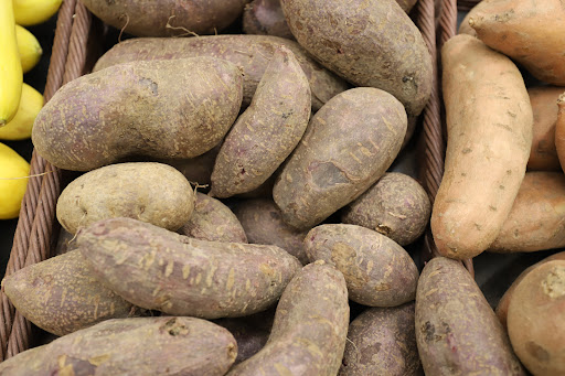 Grocery Store «Food Lion», reviews and photos, 1 New Clyde Hwy, Canton, NC 28716, USA