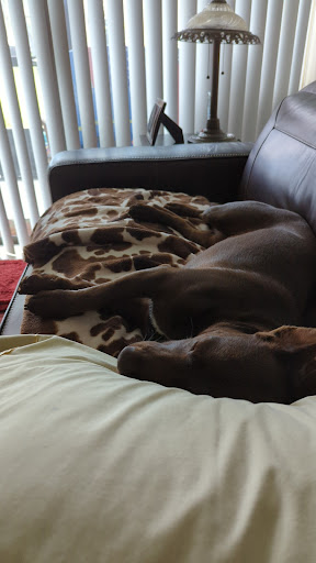 Park «Northeast Park and Paw Place», reviews and photos, 4630 E Bay Dr, Clearwater, FL 33764, USA