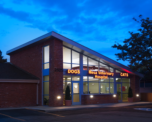 Mesa Veterinary Hospital image