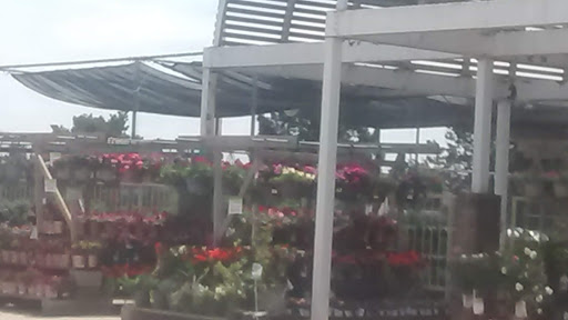 Grocery Store «Meijer», reviews and photos, 2153 Marion-Mt Gilead Rd, Marion, OH 43302, USA