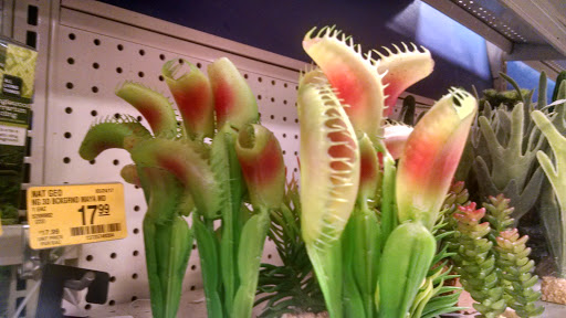 Pet Supply Store «PetSmart», reviews and photos, 79375 CA-111, La Quinta, CA 92253, USA