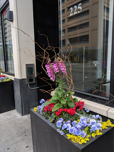 Tourist Attraction «The BELT», reviews and photos, The Belt, Detroit, MI 48226, USA