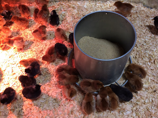 Agricultural Service «Farm Supply Company», reviews and photos, 224 Tank Farm Rd, San Luis Obispo, CA 93401, USA