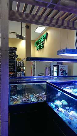 Pet Supply Store «Odyssey Pets», reviews and photos, 14999 Preston Rd #400a, Dallas, TX 75254, USA
