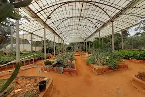 Cactus House - Lalbagh image