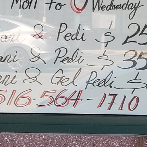 Pet Supply Store «Pet Supplies Plus», reviews and photos, 458 Hempstead Turnpike, West Hempstead, NY 11552, USA