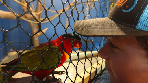 Aquarium «Aquarium of Boise», reviews and photos, 64 N Cole Rd, Boise, ID 83704, USA