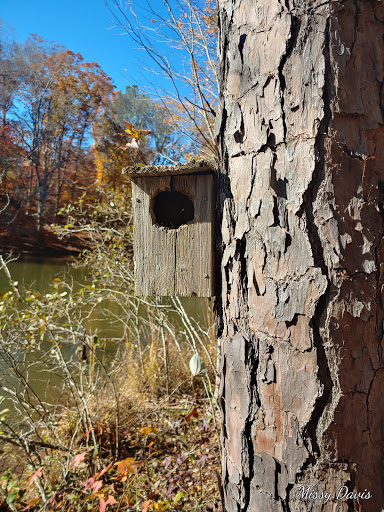 Wildlife Park «Charlie Elliott Wildlife Center», reviews and photos, 543 Elliott Trail, Mansfield, GA 30055, USA