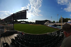 Harrisburg Senators image