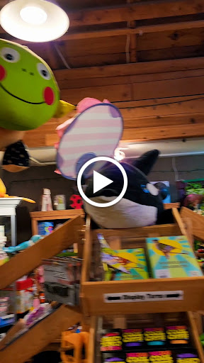 Toy Store «Why Not Toys», reviews and photos, 319 Gentry St, Spring, TX 77373, USA