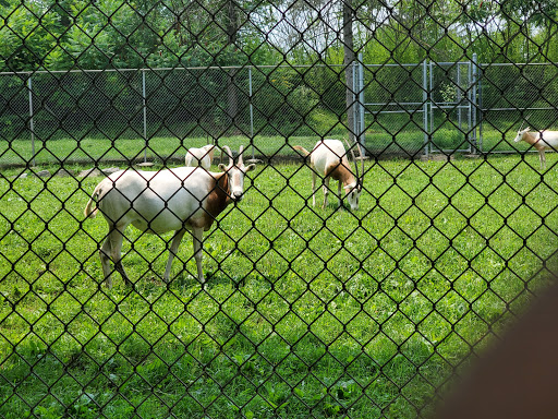 Nature Preserve «Trexler Nature Preserve», reviews and photos, 4935 Orchard Rd, Schnecksville, PA 18078, USA