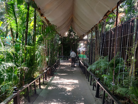 Google Maps image 21