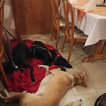 Photo n°4 de l'avis de Thomas.a fait le 05/08/2018 à 06:06 sur le  Ristorante Pizzeria Peppi's à Bad Dürrheim