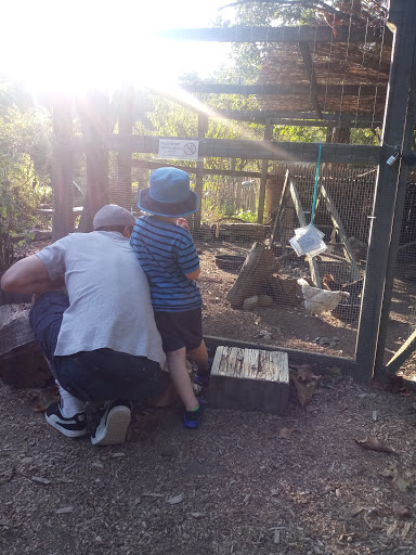 Science Museum «South Shore Natural Science Center», reviews and photos, 48 Jacobs Ln, Norwell, MA 02061, USA