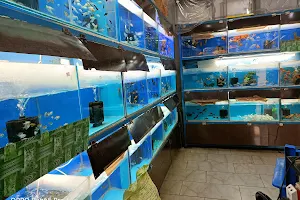 RAINBOW FISH WORLD aquariom& pets image