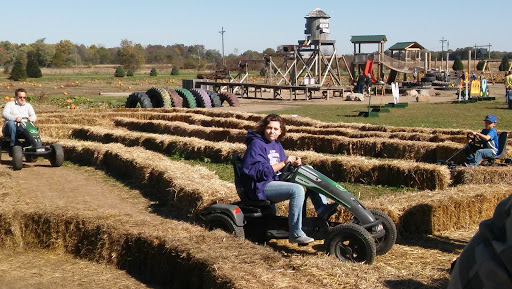 Christmas Tree Farm «Piney Acres», reviews and photos, 1115 E 1000 N, Fortville, IN 46040, USA