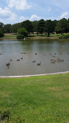 Annandale Golf Club (Private)