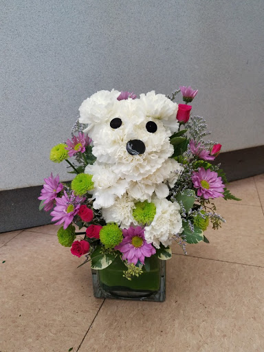 Florist «Morton Grove Florist», reviews and photos, 5741 Dempster St, Morton Grove, IL 60053, USA