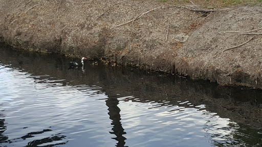 Golf Club «Miami Springs Golf & Country Club», reviews and photos, 650 Curtiss Pkwy, Miami Springs, FL 33166, USA