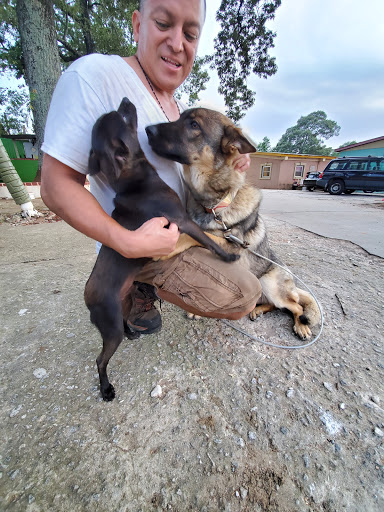 Animal Protection Organization «Greenville Humane Society», reviews and photos