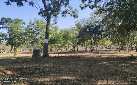 Salumaradha Thimmakka Udhyanavana image