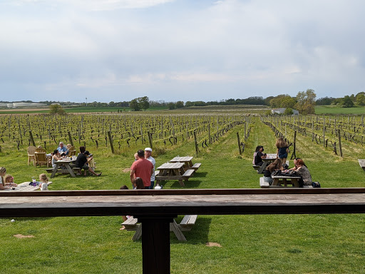 Winery «Palmer Vineyards», reviews and photos, 5120 Sound Ave, Riverhead, NY 11901, USA