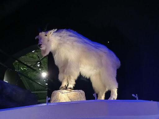 Science Museum «Cook Museum of Natural Science», reviews and photos, 133 4th Ave NE, Decatur, AL 35601, USA