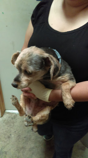 Car Wash «E-Z Clean Car & Dog Wash», reviews and photos, 7940 Monterey Rd, Gilroy, CA 95020, USA